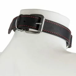 Best reviews of 👏 Bondara Luxe Real Leather O-Ring Collar 😍 -Bondage Shop Online unnamed file 101