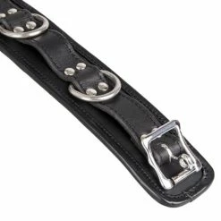 Discount ✨ Bondara Luxe Saddle Leather Heavy Duty Padded Collar 🔔 -Bondage Shop Online unnamed file 134