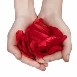 Best reviews of 🤩 Bondara Heartbreaker Pleasure Bundle 🛒 -Bondage Shop Online unnamed file 302