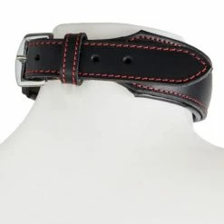 Best Sale 🌟 Bondara Slut Imprint Real Leather Collar 🔥 -Bondage Shop Online unnamed file 55