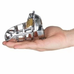 Best Pirce ✨ Torment Stainless Steel Gladiator Chastity Cage 🎉 -Bondage Shop Online unnamed file 727