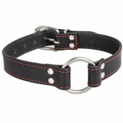 Best reviews of 👏 Bondara Luxe Real Leather O-Ring Collar 😍